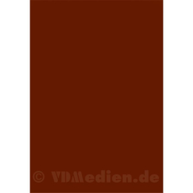 C.T.V. Il Corpo Truppe Volontarie Italiano durante la Guerra Civile Spagnola Das CTV im Spanischen Bürgerkrieg 1936-1939 Geschichte und Uniformen - Ernestino Chiappa