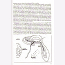 Tiger im Schlamm 2. schwere Panzer-Abteilung 502 Narwa...