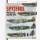 Supermarine Spitfire Mk VI to IX and Mk XVI Volume II - Planes and Pilots 21