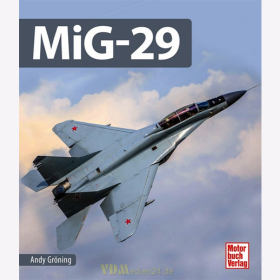 MiG-29 - Andy Gröning