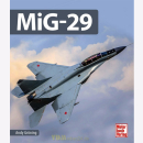MiG-29 - Andy Gröning