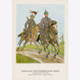 Uniformtafel Gr.1/Nr.382: WÜRTTEMBERG. 1914-1918 Neuformationen Württembergische Reserve-Dragoner-Regiment