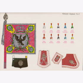 Uniformtafel Gr.1/Nr.404: PREUSSEN 1753-1786 Uniformschemata und Feldzeichen, Kürassier-Regiment No.2 Teil 2