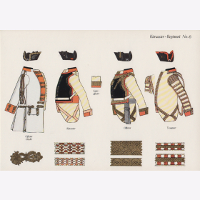 Uniformtafel Gr.1/Nr.411: PREUSSEN 1753-1786 Uniformschemata und Feldzeichen, Kürassier-Regiment No.6 Teil 1