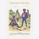 Uniformtafel Gr.1/Nr.13: RUSSLAND: NASSAU 1809 - 1815, Do...