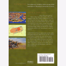 Attila the Hun - Leadership Strategy Conflict - Osprey...