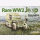 Rare WW2 Jeep - Photo Archive 1940 to 1945 - M. Askew
