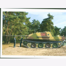 Trojca Panther and Jagdpanther in Color Modellbau Panzer Tank