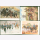 Postkarten farbige Reproduktionen Militär Set 11/III/101-104