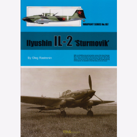 Rastrenin / Ilyushin IL-2 "Sturmovik", Warpaint Nr. 107