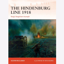 The Hindenburg Line 1918 - Haigs forgotten Triumph...