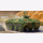 Russian BTR-70 APC Afghanistan 1:35 Trumpeter 01593