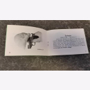 Sauer & Sohn Selbstladepistole Kaliber 6,35 mm W T...