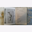 Pilots Notes for Hornet Flll Merlin l30 l131 Engines AP 2864C Air Ministry