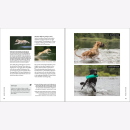 Heuser Fotografie Dogs Hunde Technik Große Bilder Hintergrund