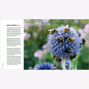 Mann Fotografie im Garten Blütenporträts Pflanzenbilder Blumenfotos