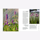 Mann Fotografie im Garten Blütenporträts Pflanzenbilder Blumenfotos