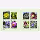 Mann Fotografie im Garten Blütenporträts Pflanzenbilder Blumenfotos