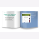 Broschart Relaunch Dopamin Framework Webdesigner...