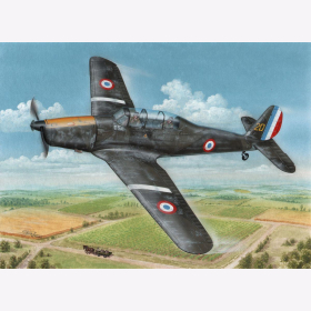 Arado Ar 96B ´Captured & Post War´ Special Hobby 72409 1:72
