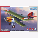 Potez 25TOE "For France - anytime, anywhere"...