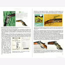 Zimmermann Die Büchsenmacher-Handwerksgenossenschaft e.G.m.b.H. Bühag Suhler Zeit- und Heimatgeschichten Waffenmuseum Suhl