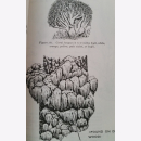 Survival FM 21-76 Department of the Army Field Manual...