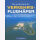 Plath Rothfischer Das große Buch der Verkehrsflughäfen