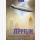 Siem Mit dem Zeppelin um die Welt Die Weltfahrten der berühmten Delag-Luftschiffe