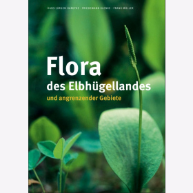 Hardtke Flora des Elbhügellandes und angrenzender Gebiete Osterzgebirge, Lommatzscher und Großenhainer Pflege sowie Lausitzer Platte