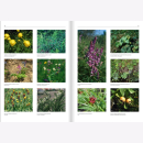 Hardtke Flora des Elbhügellandes und angrenzender Gebiete Osterzgebirge, Lommatzscher und Großenhainer Pflege sowie Lausitzer Platte