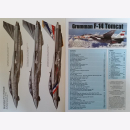 Strafrace Grumman F-14 Tomcat Warpaint Nr. 126 mit...