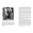 Seel: Deutsche Patronenfabriken Eine...