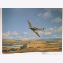 The Aviation Paintings of John Young Luftfahrt Bemalung