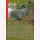 Zwilling Gepanzerte Fahrzeuge der Bundeswehr 2022 Tankograd Militärfahrzeug Jahrbuch