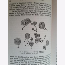 Krause Die Trojaburgen Nordeuropas Trojasage 