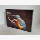 Vögel 30 Geschenk-Klappkarten & Umschläge