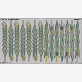 Rushes / Rákos - colour Eduard 36167 1:35
