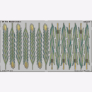 Rushes / Rákos - colour Eduard 36167 1:35