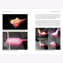 Siebeneicher-Hellwig Rosinski MM Workshop Japanische Messer schmieden für Anfänger