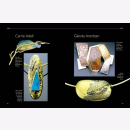 Midget Mokume Gane Theorie und Praxis der japanischen...