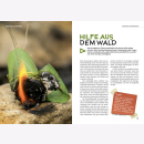 Survival Magazin Workshop Band 1