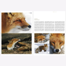 Lautenthal / Waldner Wild: Jagd in den Alpen Jäger Bildband Natur Wald Naturfotografie