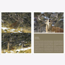 Lautenthal / Waldner Wild: Jagd in den Alpen Jäger Bildband Natur Wald Naturfotografie