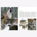 Lautenthal / Waldner Wild: Jagd in den Alpen Jäger Bildband Natur Wald Naturfotografie