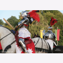 Cadek Seehase Böckler- und Löwlerkrieg Heere & Waffen 33