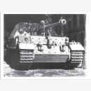 Culver Feist Schwere Panzer Königstiger Jagdtiger...