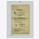 Badges and Honour Prizes of the Flying Troops from 1913 to 1920 - Carsten Baldes