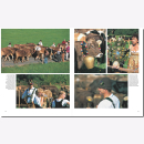 Journey through the Allgäu - English Edition Martin Siepmann / Lindner Reise durch Reiseführer