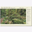 Reise durch die Sächsische Schweiz und Dresden Mario...